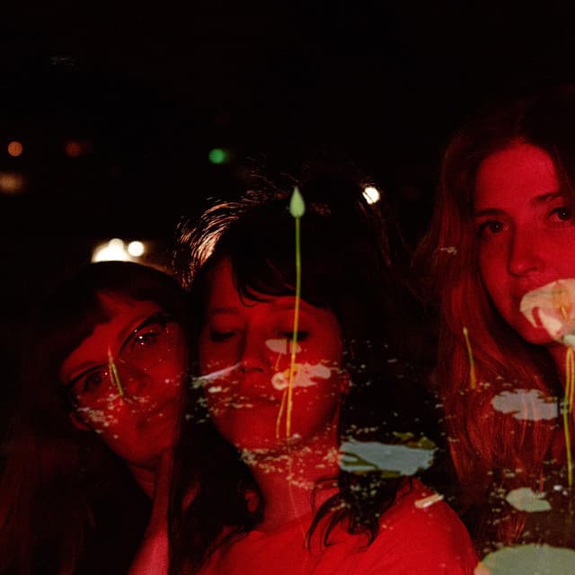 Vivian Girls