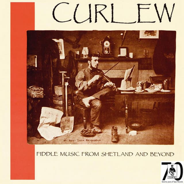 Curlew
