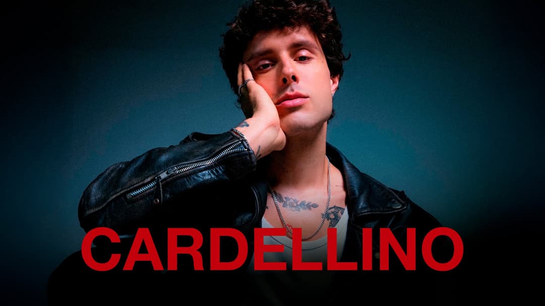 cardellino